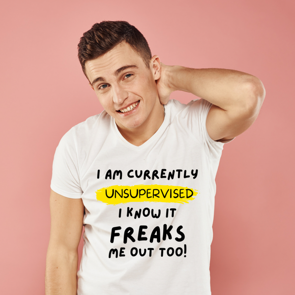 I am currently unsupervised (Adult)