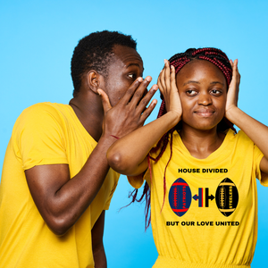 House divided nfl deals shirts